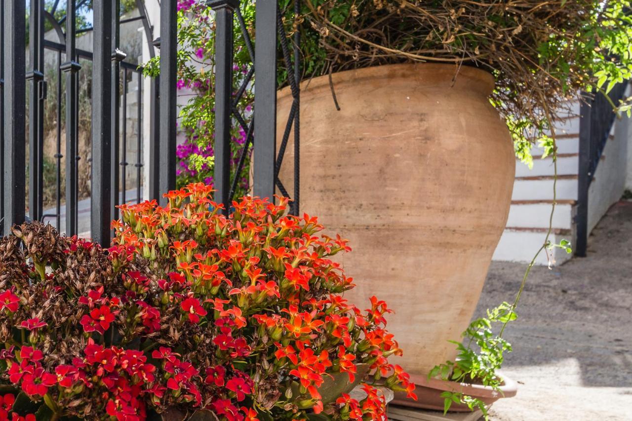Casa Luna - 16Th Century Traditional Spanish Village House Pinos del Valle Luaran gambar